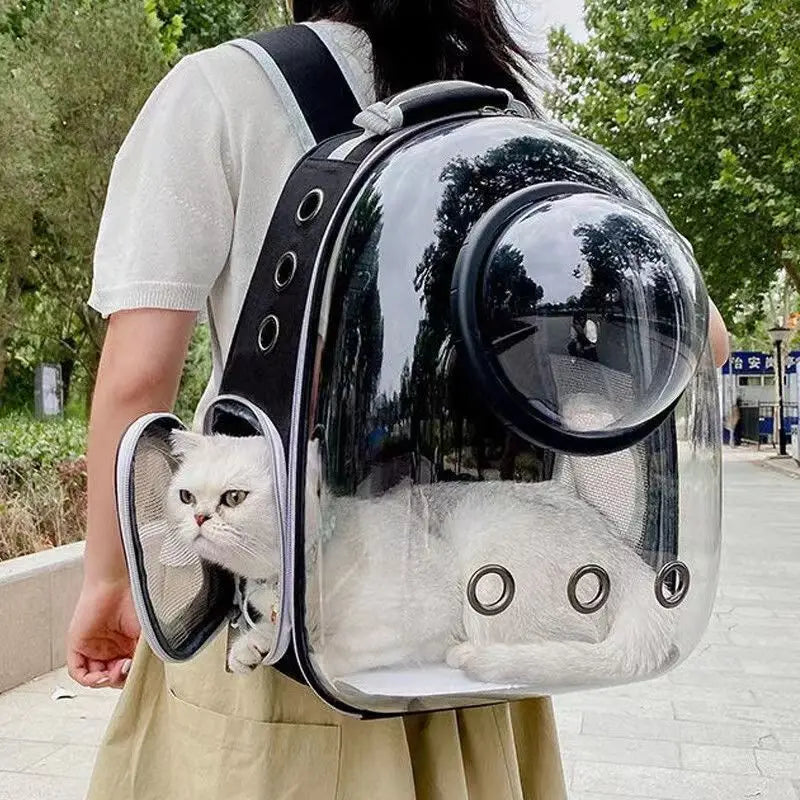 Cat Backpack – Buy Right Here