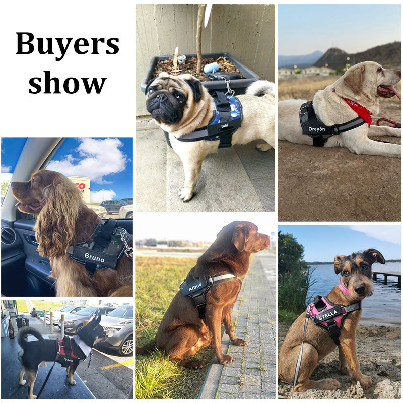 Top Personalized Dog Harness: No Pull, Reflective, & Breathable for All Sizes
