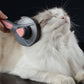 Kimpets Cat Comb Brush -Designed with Comfortable and Ergonomic for Cleaning your Cat's Loose Hair