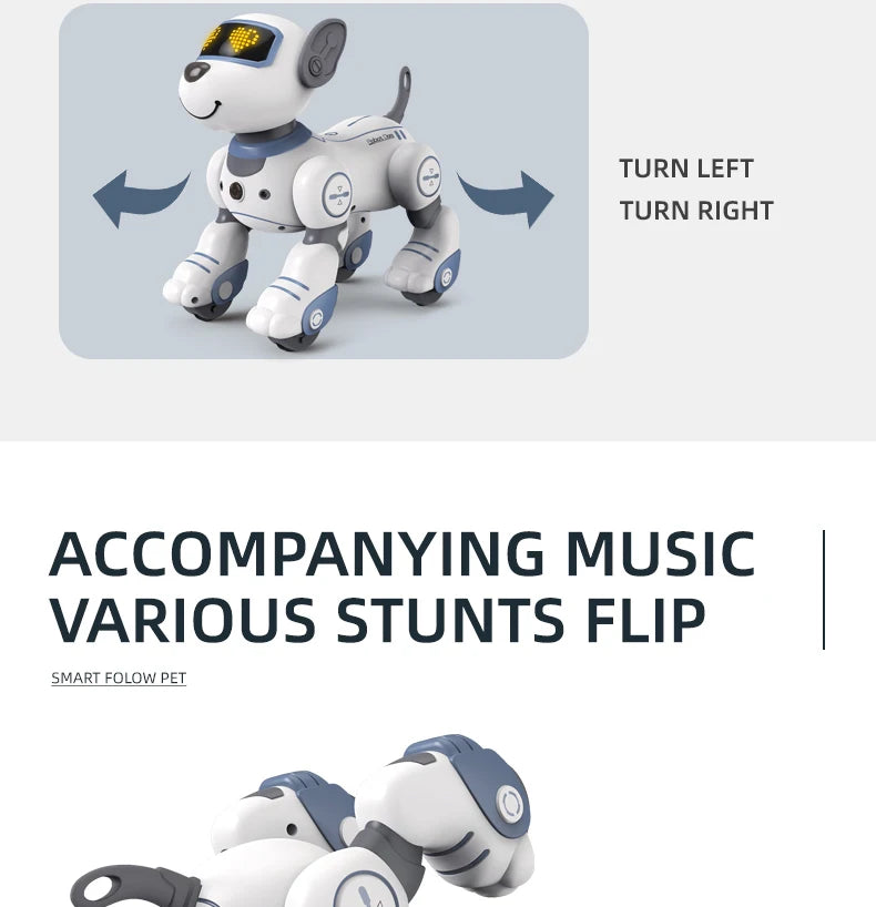 Funny and Programmable Robot Dog: Stunt-Packed RC Pet for Kids' Fun