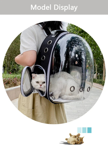 Top Breathable Transparent Pet Backpack for your Cats: Travel in Style