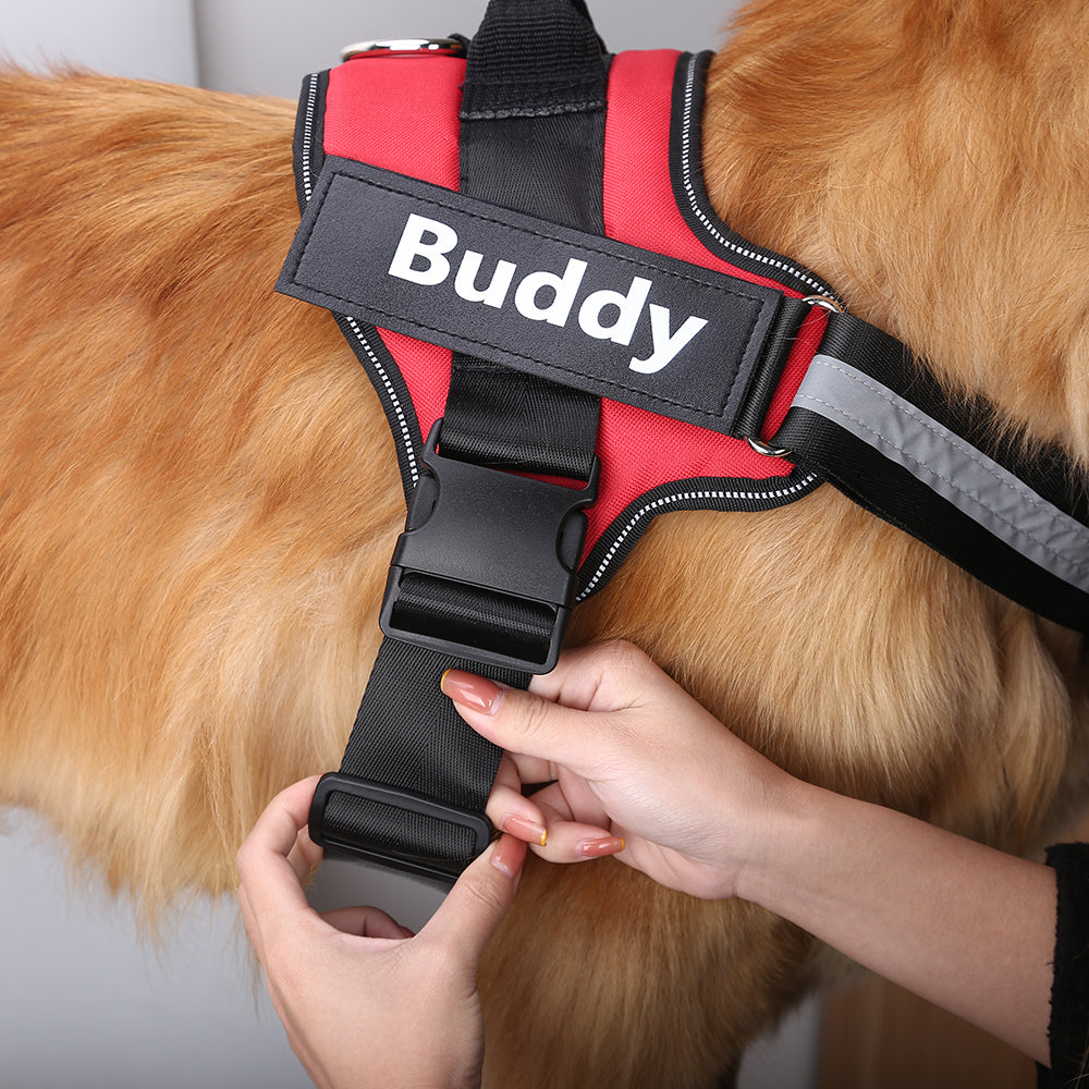 Harnais pour chien personnalisé - Gilet harnais réfléchissant et respirant réglable sans traction pour petits ou grands chiens.