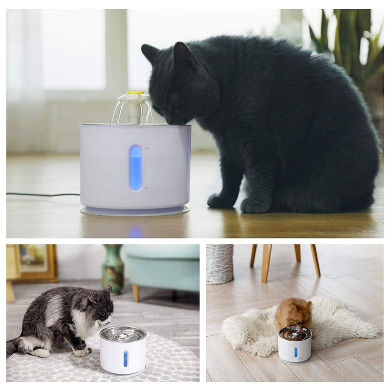 USB Powered Cat Water Fountain -Active Carbon Filter Automatic Electric Dispenser Bowls Cats Drinker