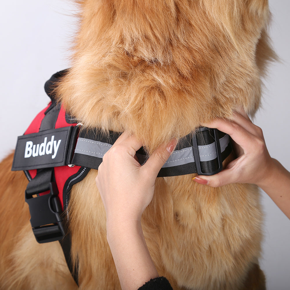 Personalized Dog Harness -NO PULL Reflective Breathable Adjustable Harness Vest For Small or Large Dogs.