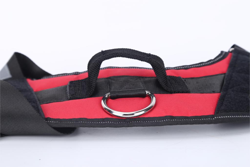 Harnais pour chien personnalisé - Gilet harnais réfléchissant et respirant réglable sans traction pour petits ou grands chiens.