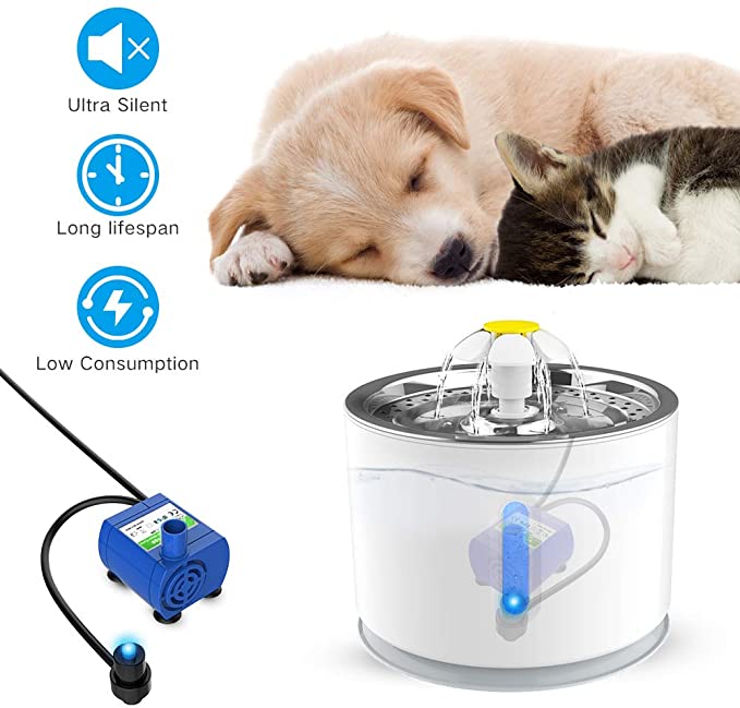 Fontaine à eau pour chat alimentée par USB - Filtre à charbon actif Distributeur électrique automatique Bols Abreuvoir pour chats 